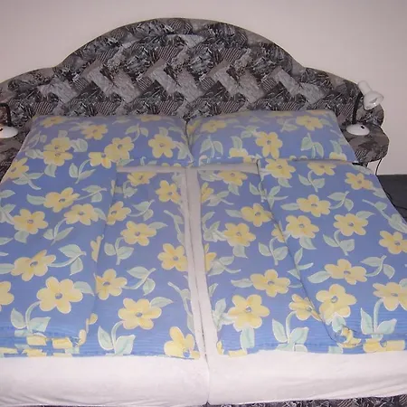Guest house Baron 3*