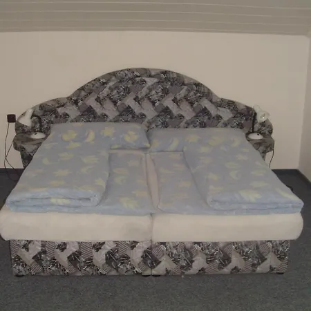 بيت ضيافة Baron